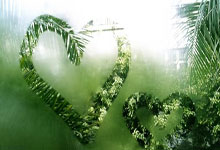 Linode VPS优惠及开通实战图文教程(完整版)